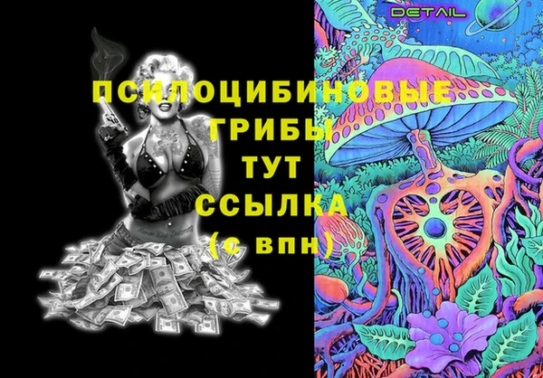 сатива Алексеевка