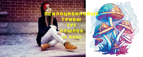 сатива Алексеевка