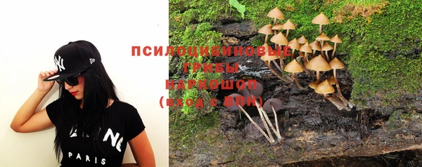 сатива Алексеевка