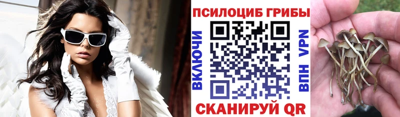 Псилоцибиновые грибы ЛСД  OMG ССЫЛКА  Полярные Зори 